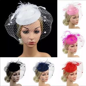 NWT French Birdcage Veil Fascinator Hat